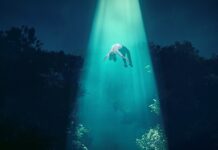 Jaką maksymalną wysokość stopnia schodów?