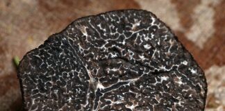 Jakie starocie są poszukiwane?