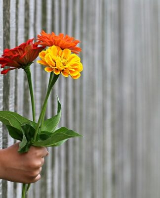 Ile kosztuje 100 m ogrodzenia z siatki? Ile kosztuje 100 m ogrodzenia z siatki?