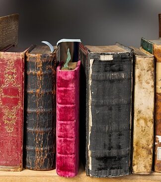 Jak nazywa się okładka na telefon?